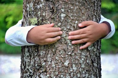 çocuk elleri ağaçta