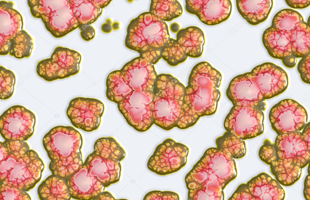abstract jelly bacteria organics