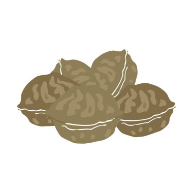 ceviz düz renkli çizimi