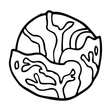 çizim karikatür lahana