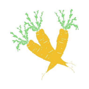 havuç düz renkli çizimi