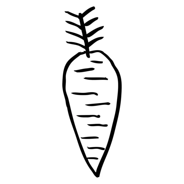Line Drawing Cartoon Root Vegetable — Stock Vector