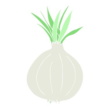 soğan düz renkli çizimi