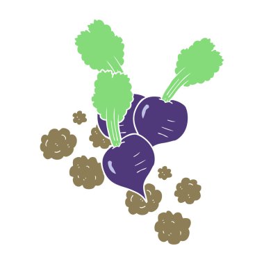 Pancar düz renkli çizimi