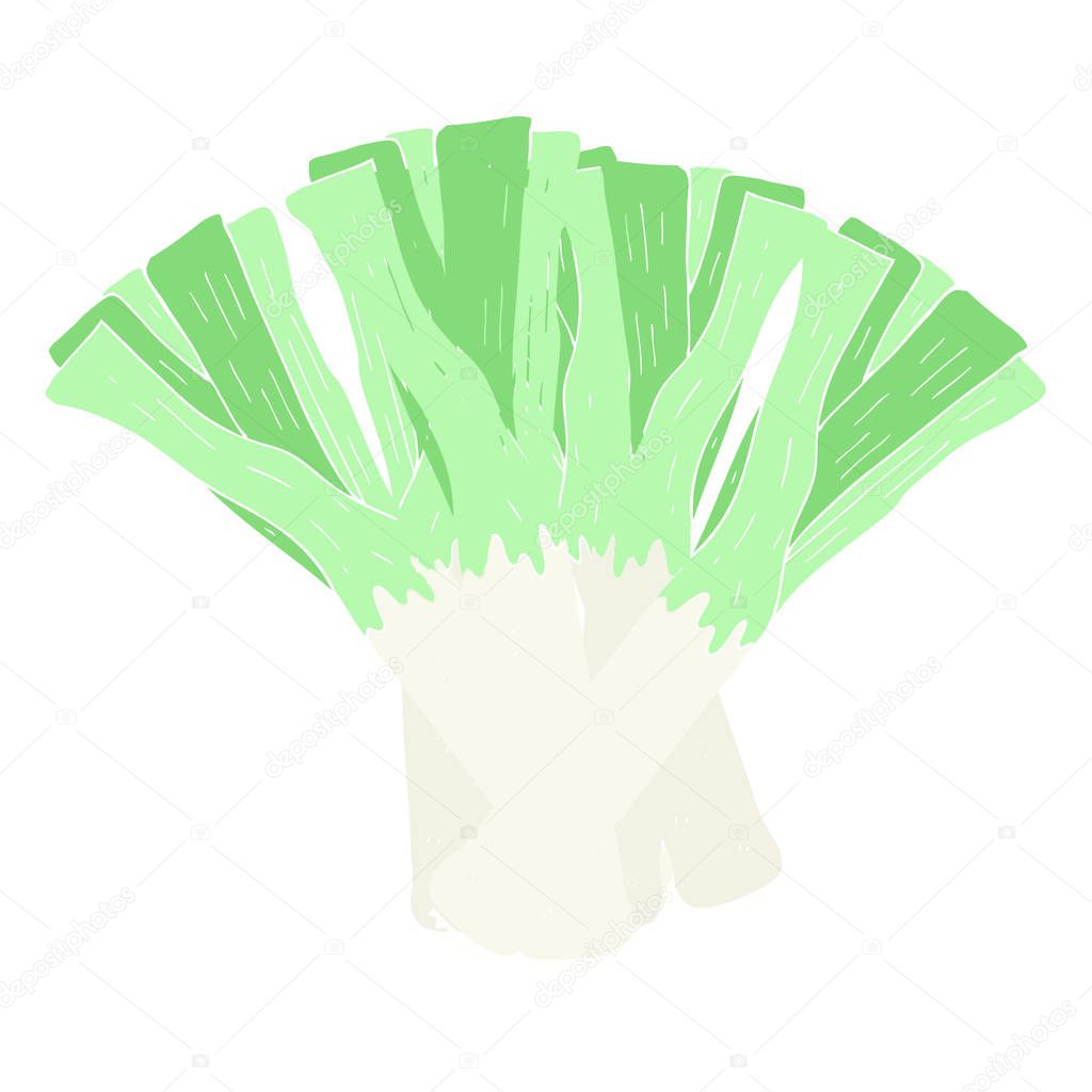 flat color illustration of leeks