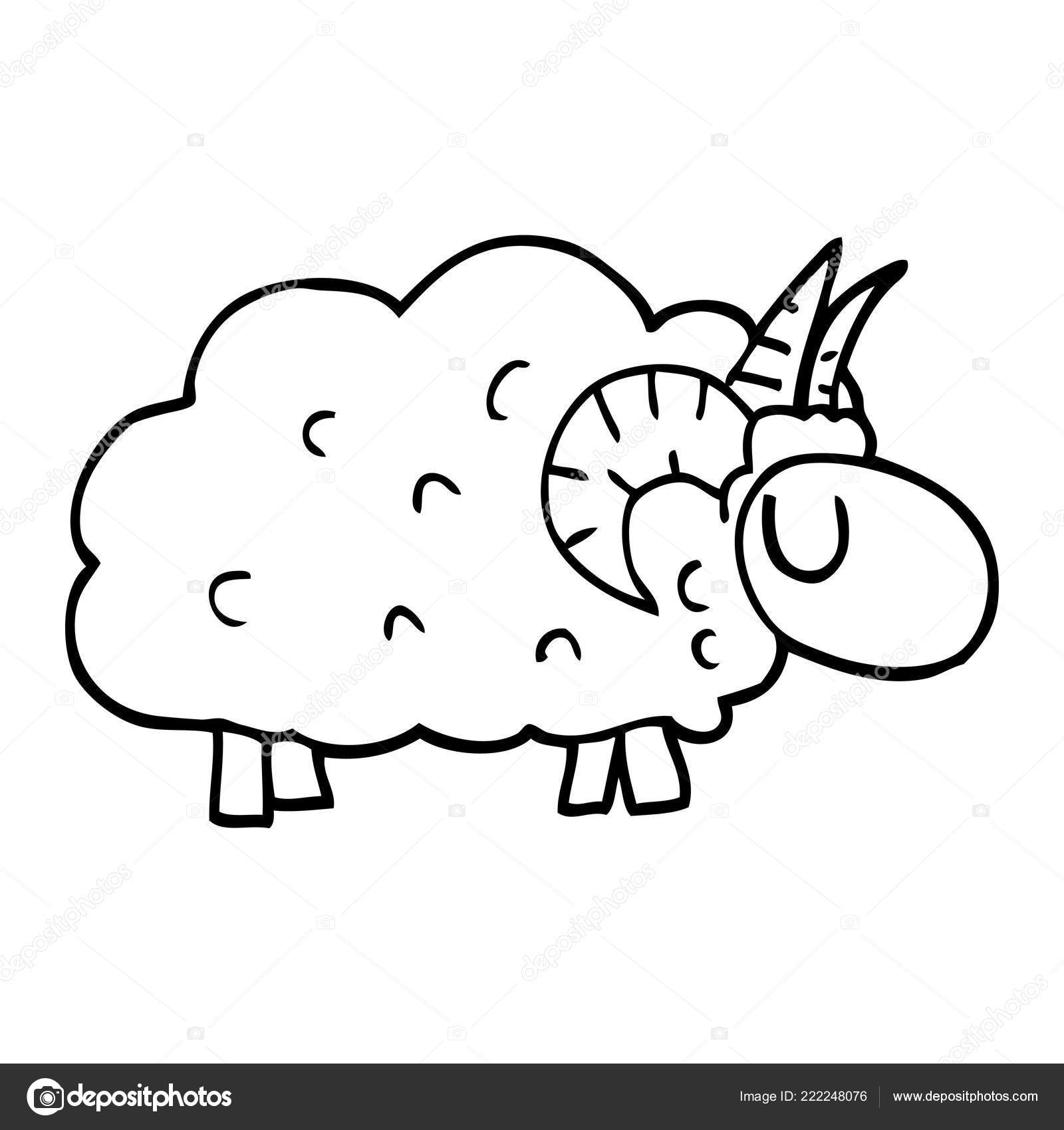 Line Drawing Cartoon Sheep Horns Stock Vector Image by ©lineartestpilot