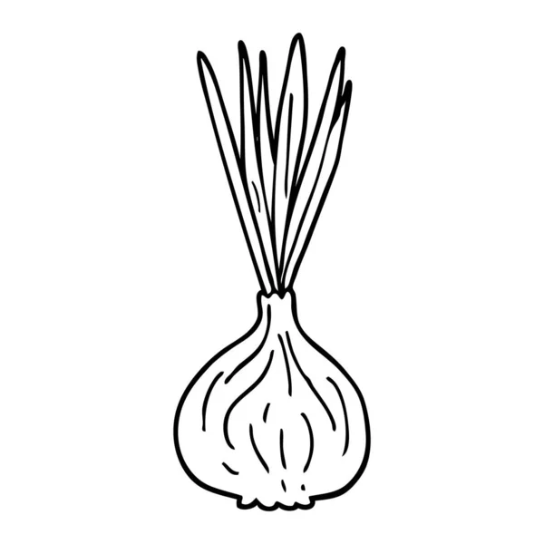 Line Drawing Cartoon Sprouting Onion — Stock Vector