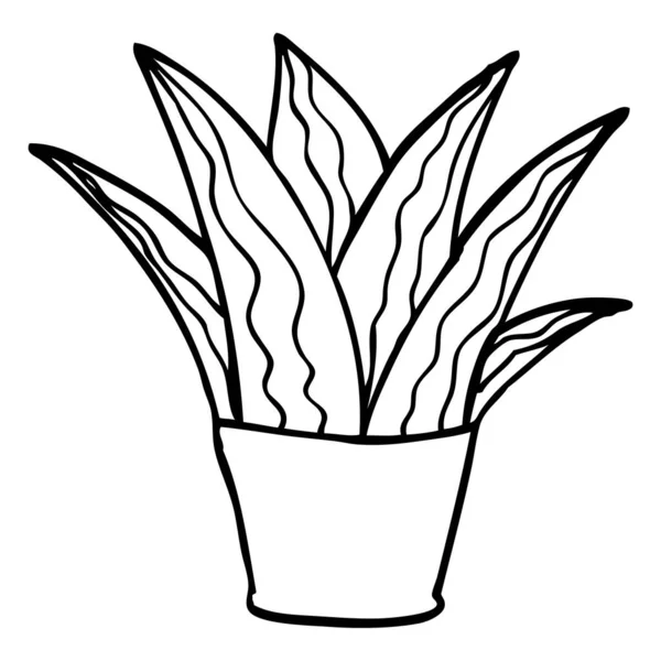 Lijntekening Cartoon Kamerplant — Stockvector