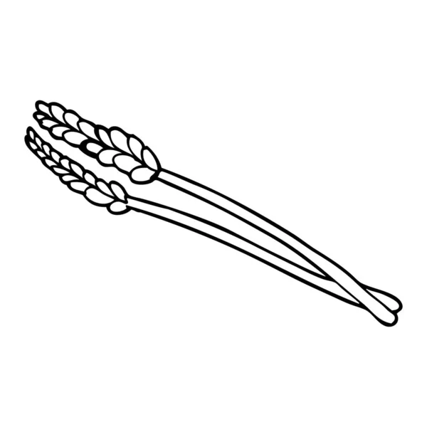 Line Drawing Cartoon Wheat — Stock Vector