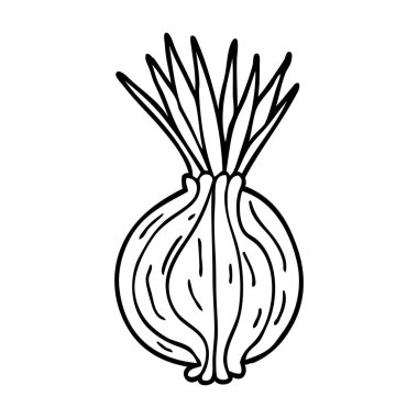 çizgi film doodle filizlenen soğan 