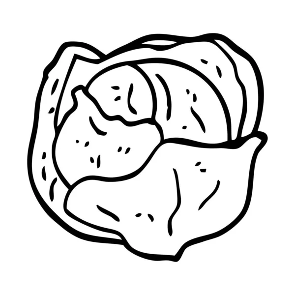 Line Drawing Cartoon Cabbage — Stock Vector