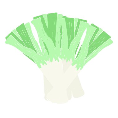 pırasa düz renkli çizimi