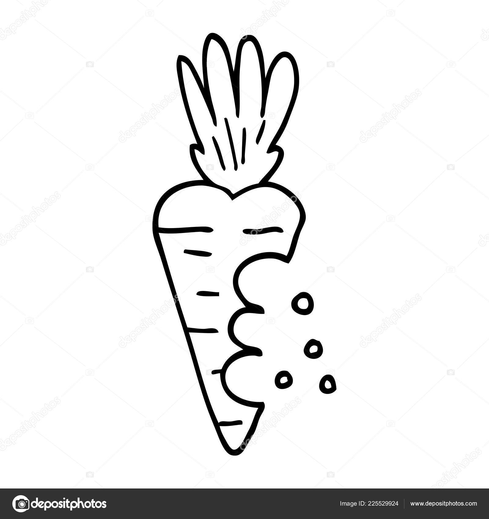 Line Drawing Cartoon Carrot Bite Marks Stock Vector Image by ©lineartestpilot #225529924 Line Drawing Cartoon Carrot Bite Marks Stock Vector Image by ©lineartestpilot #225529924