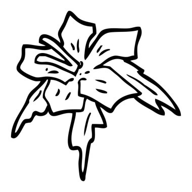 çizgi çizme çizgi film egzotik çiçek