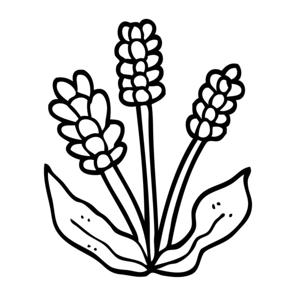 Dibujos Animados Blanco Negro Lavanda — Vector de stock