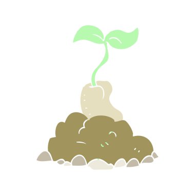 Tohum çimlenme düz renk örnek