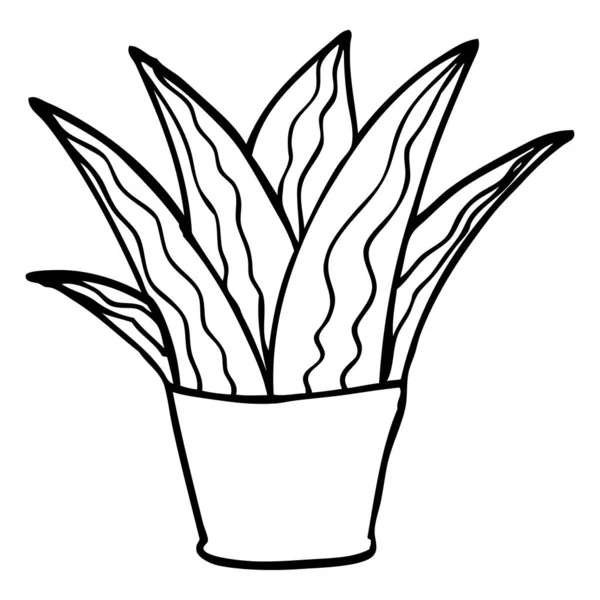 Linienzeichnung Cartoon Haus Pflanze — Stockvektor