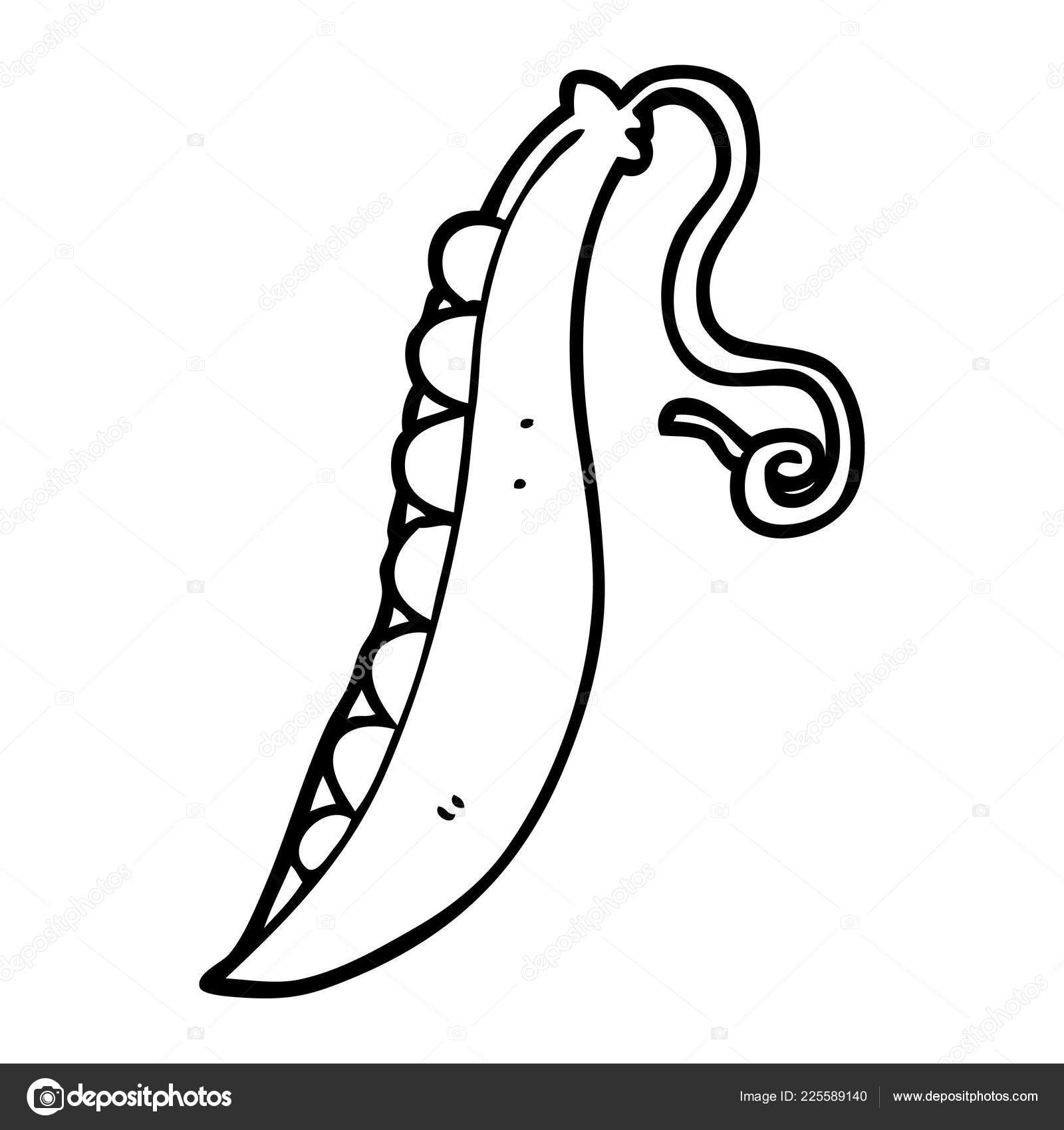 Pea Pod Line Drawing Line Drawing Cartoon Peas Pod Stock