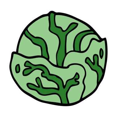 Beyaz arka plan üzerinde izole karikatür doodle lahana