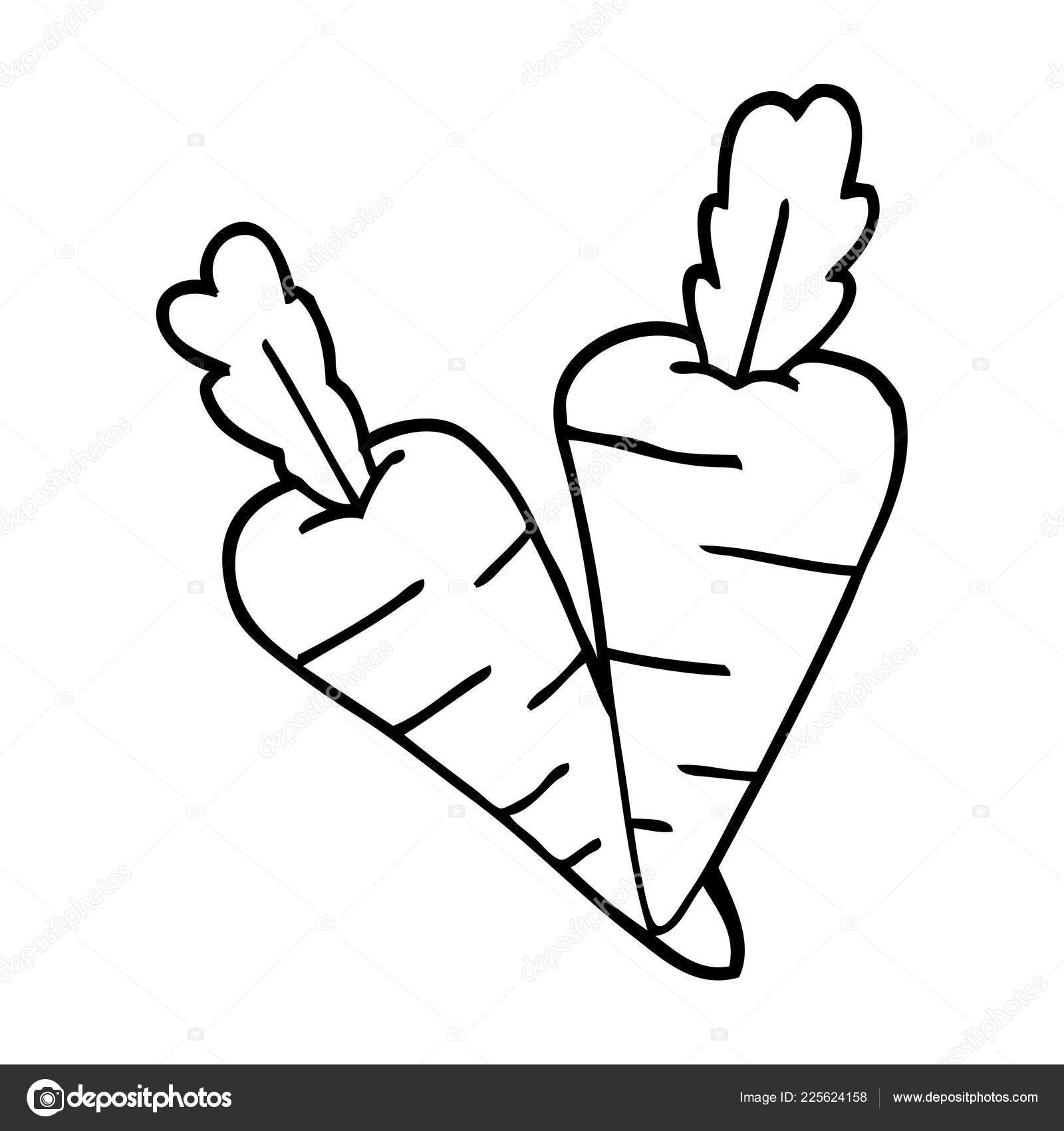 Line Drawing Cartoon Carrots Stock Vector Image by ©lineartestpilot  #225624158