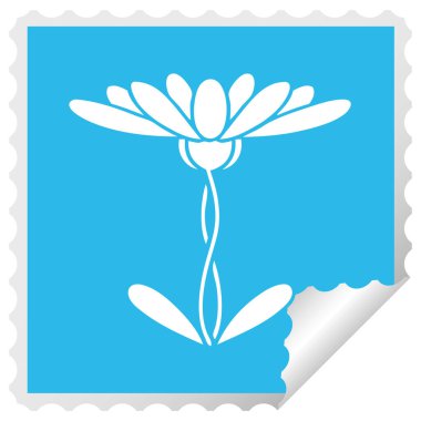 etiket karikatür çiçek peeling Meydanı