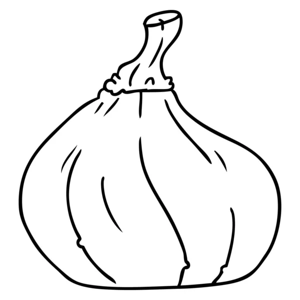 Line drawing doodle of a squash — Stock Vector