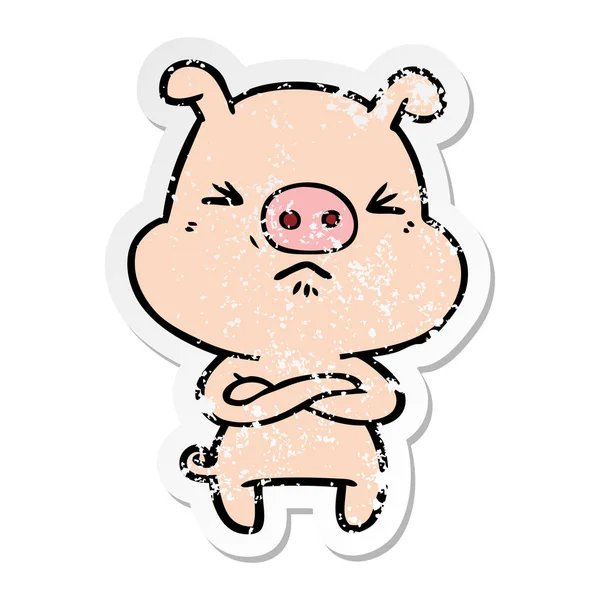 Distressed Sticker Cartoon Angry Pig — 图库矢量图片