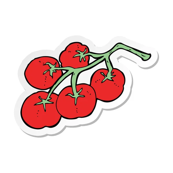 La pegatina de los tomates a la ilustración de la vid — Vector de stock