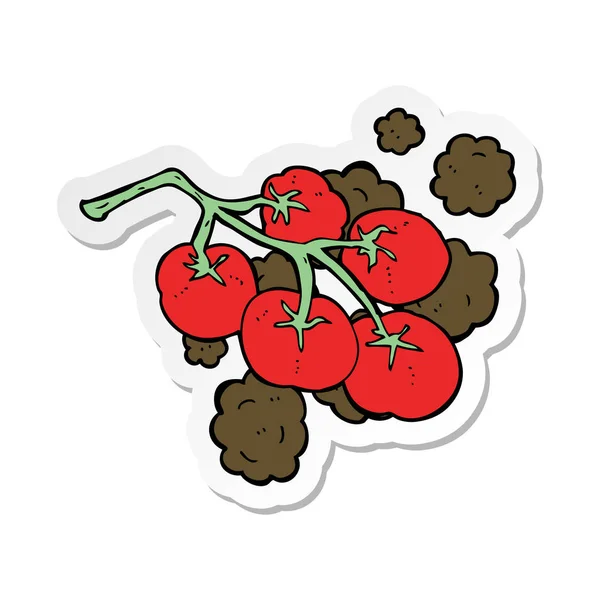 Klistermärke en gröna tomater på vine illustration — Stock vektor