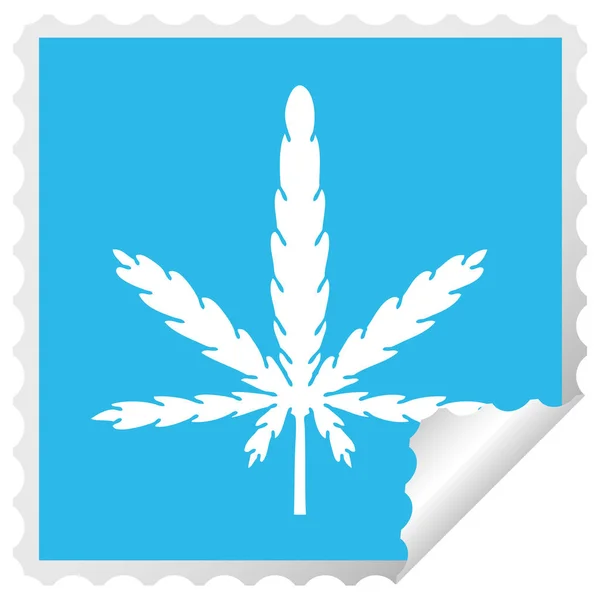 Square Peeling Sticker Quirky Cartoon Marijuana — Stock Vector