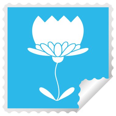 etiket karikatür çiçek peeling Meydanı