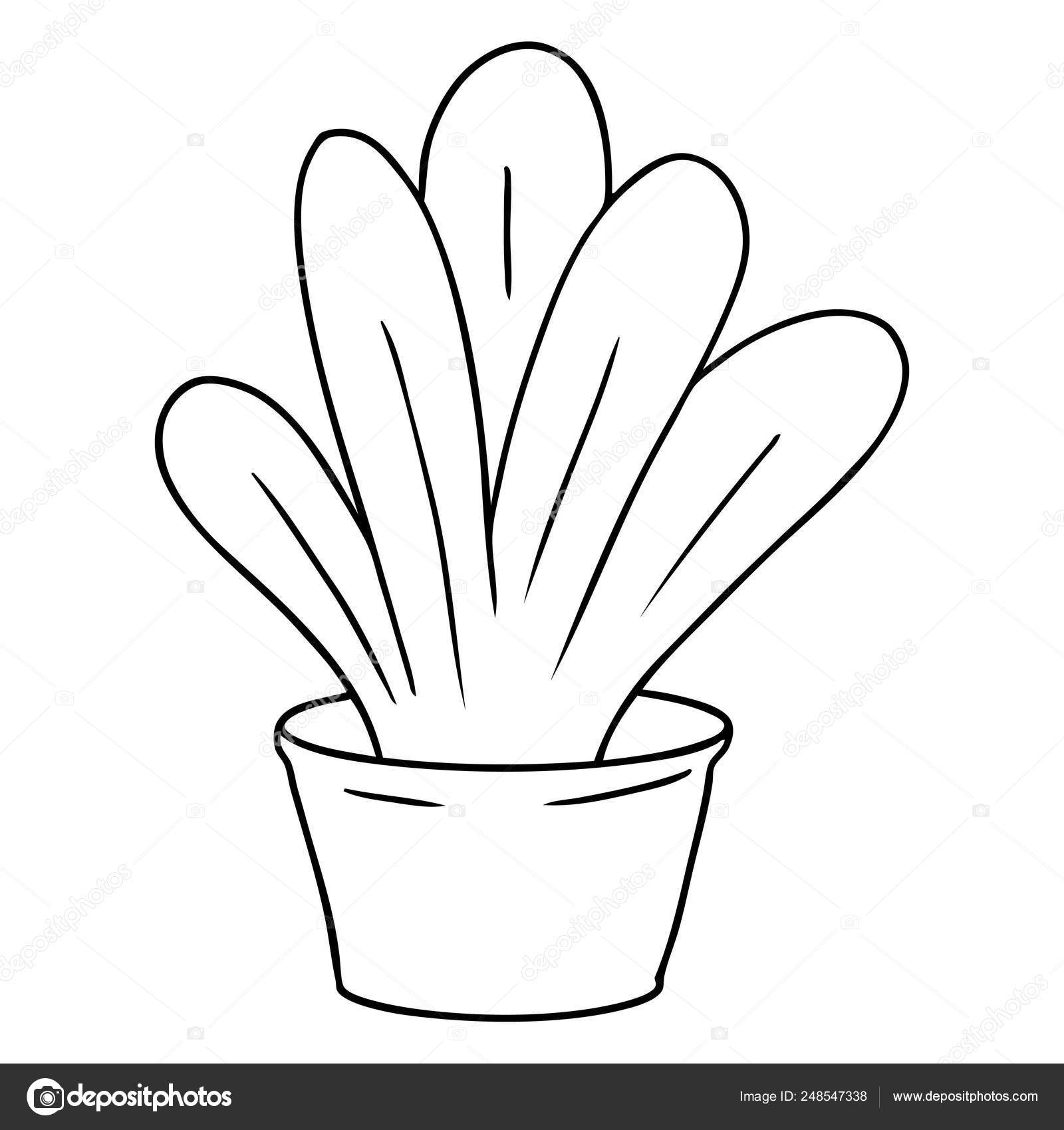 Hand Drawn Line Drawing Doodle Green Indoor Plant Stock Vector Image by