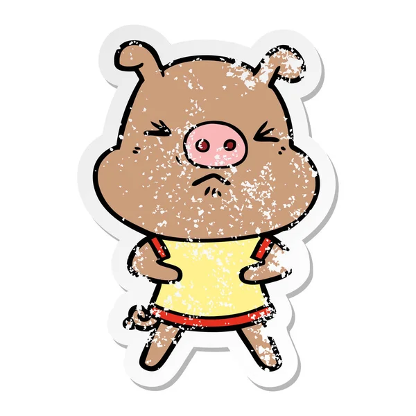 Distressed sticker of a cartoon angry pig wearing tee shirt — Stock Vector
