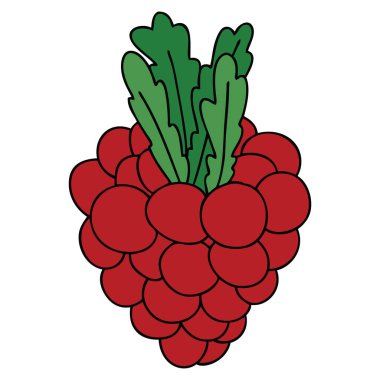 ilginç el üzüm demet çizgi film çekilmiş