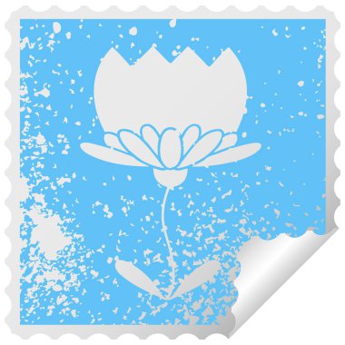 sıkıntılı kare etiketi simgesi bir çiçek peeling