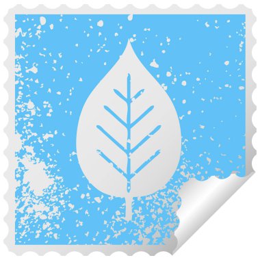 sıkıntılı kare yaprak yeşil etiket sembolü peeling