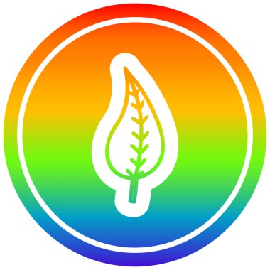 gökkuşağı spektrumunda doğal yaprak dairesel