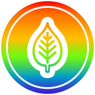 gökkuşağı spektrumunda doğal yaprak dairesel