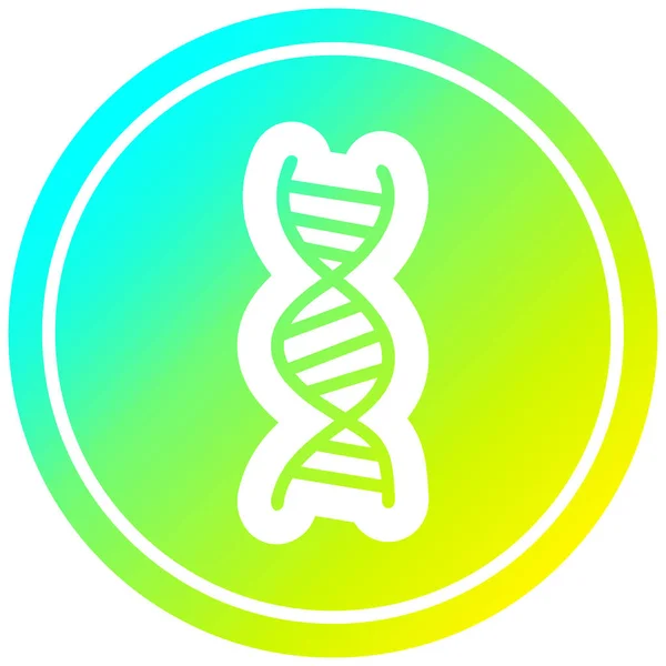DNA chain circular in cold gradient spectrum — Stock Vector