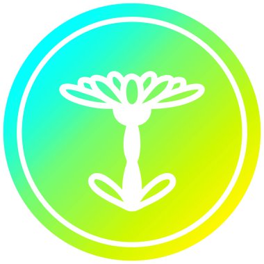 soğuk degrade spektrumda çiçeklenme çiçek dairesel