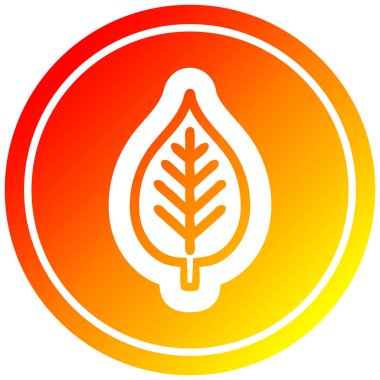 sıcak degrade spektrumda doğal yaprak dairesel