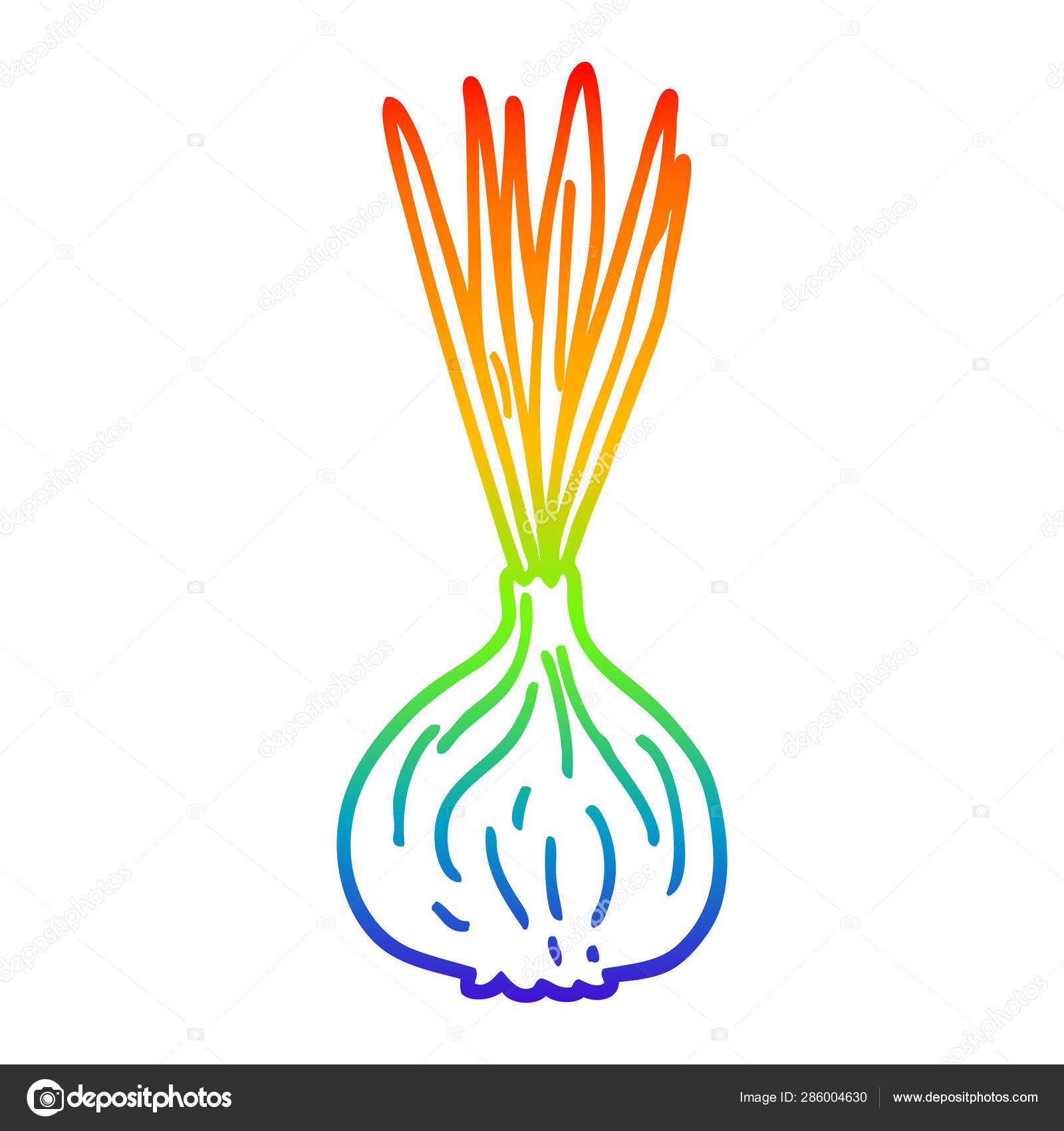 发芽洋葱图库矢量图片 免版税发芽洋葱插图 Depositphotos