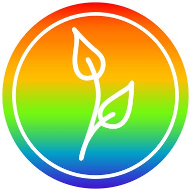 gökkuşağı spektrumunda doğal yaprak dairesel