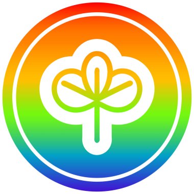 gökkuşağı spektrumunda doğal yaprak dairesel