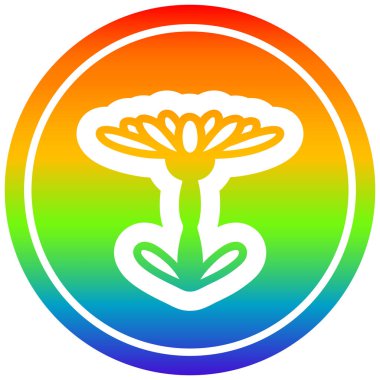 gökkuşağı spektrumunda çiçeklenme çiçek dairesel