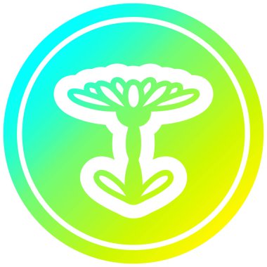 soğuk degrade spektrumda çiçeklenme çiçek dairesel