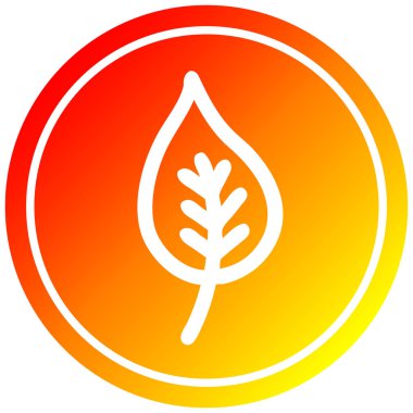 sıcak degrade spektrumda doğal yaprak dairesel