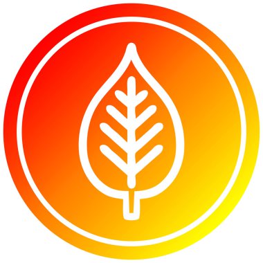 sıcak degrade spektrumda doğal yaprak dairesel