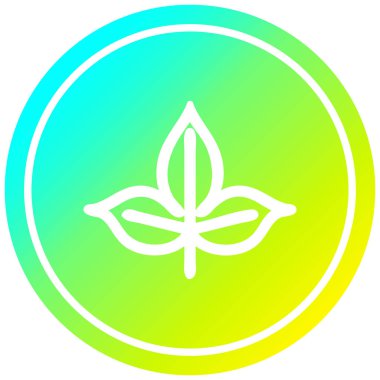 soğuk degrade spektrumda doğal yaprak dairesel