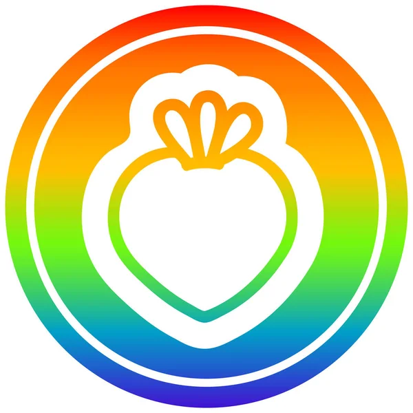 虹のスペクトルで新鮮なフルーツ円形 — ストックベクタ